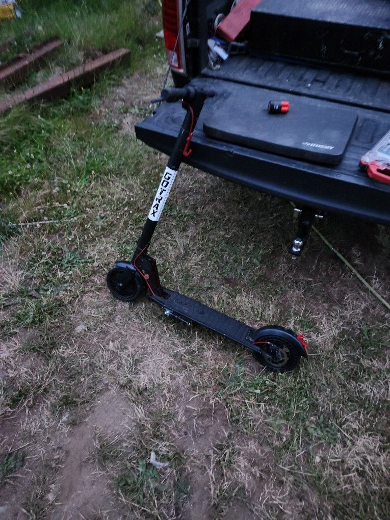Gotta Scooter 