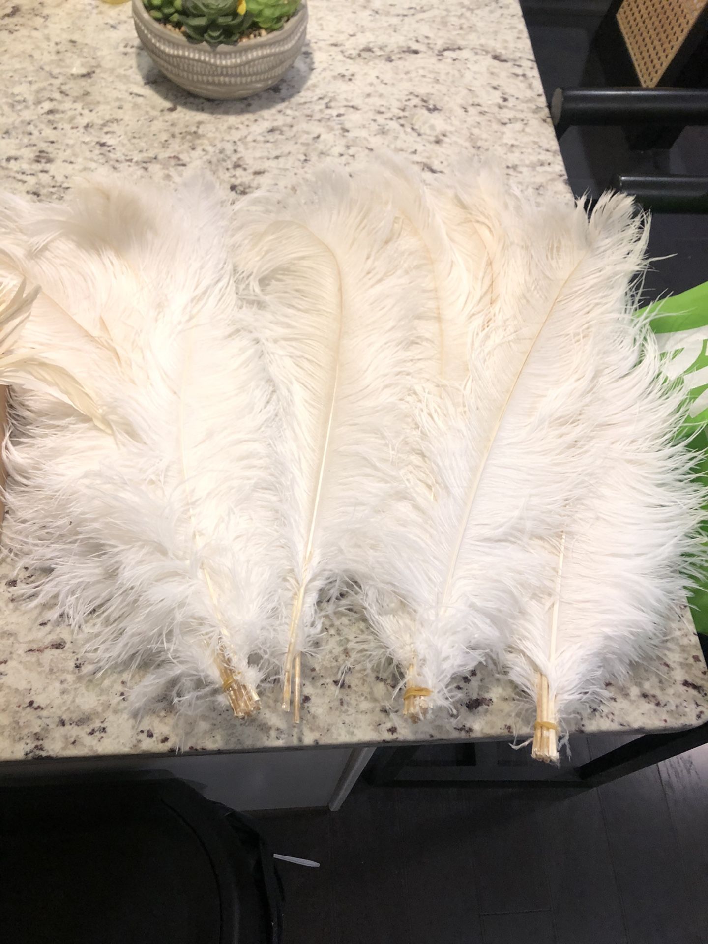 White/off white ostrich plume feathers READ DESCRIPTION