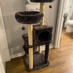 Cat Condo