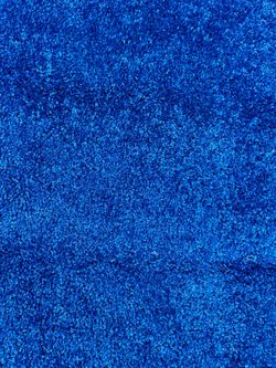 Blue Carpet remnants
