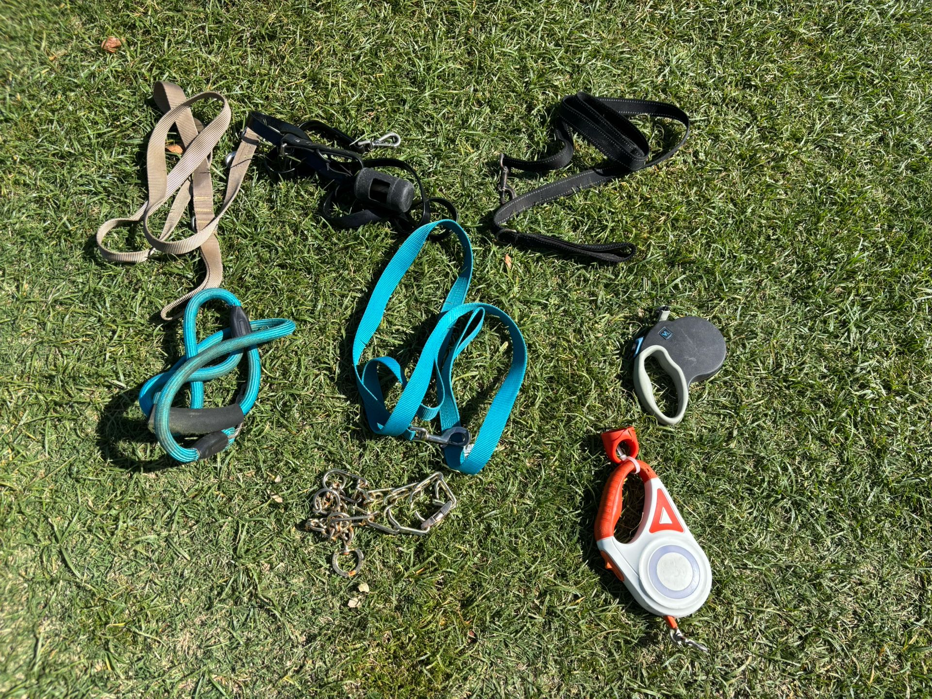Dog Leashes Collars Harnesses