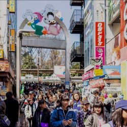 Want To Learn How To Speak Japanese?