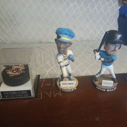 Hockey Panthers Inaugural Puk