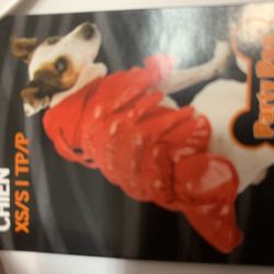 Dogs and Cats Costume 