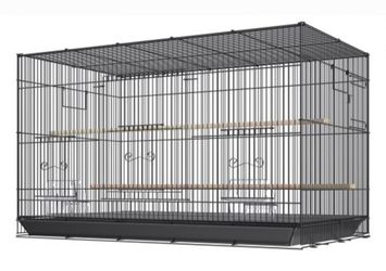 Bird cage