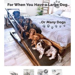 “Doggo Ramps” King Size Ramp 