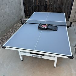 Ping Pong Table