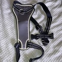 Boots & Barkley Dog Harness 
