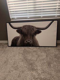 Bull Canvas