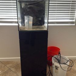 Fish Tank 