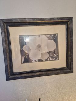 Framed Black and White Flower Wall Art