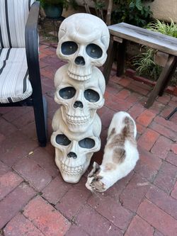Skeleton heads