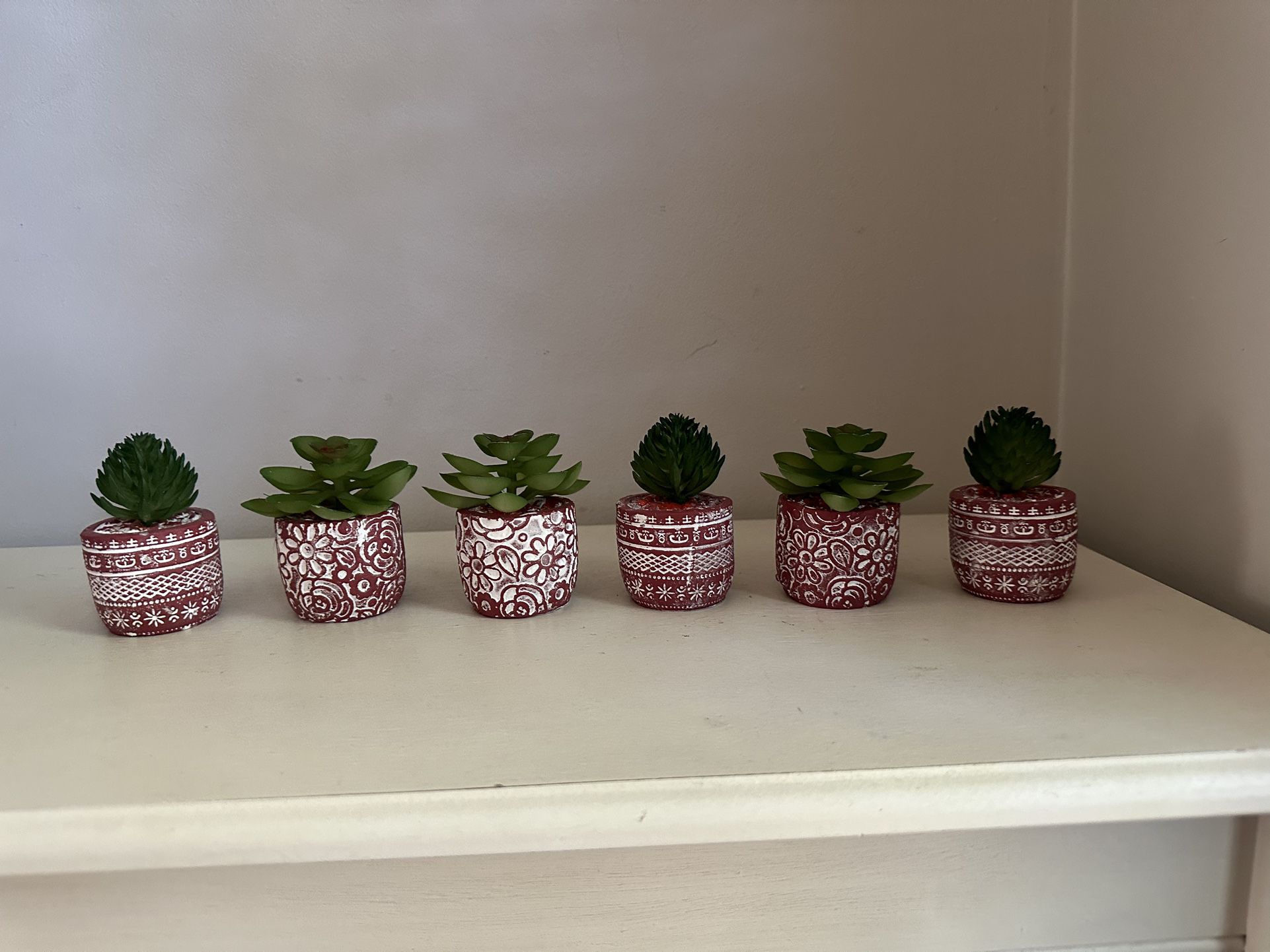 6 Terra Cotta Style Succulent Plants 