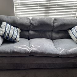 2 Couches And 4 Pillows