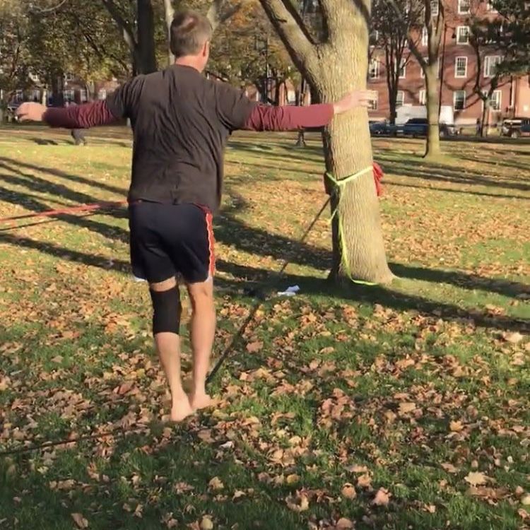 Gibbons Slacklines / Tricklines (red And Black)