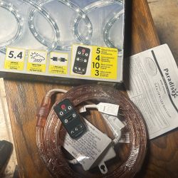 LED Rope Lights W/ Control