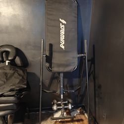 Stamina Inversion Table