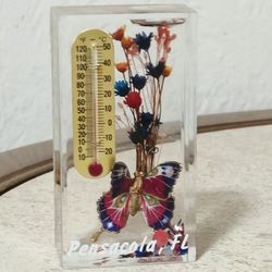 Vintage Pensacola, Florida Souvenir Acrylic Thermometer Dried Flowers Metel Enamel Butterfly