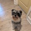 Frankie