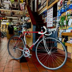 Sannino Italian Road Bike