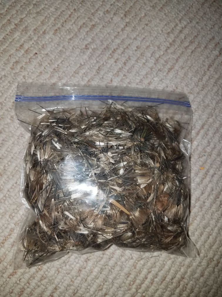 Semilla De Papalo para sembrar.