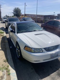 2000 Ford Mustang