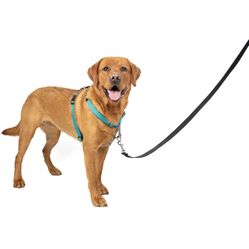 Dog Harness Size Large 