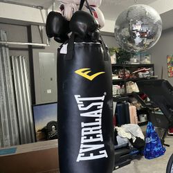 Punching Bag With Gloves