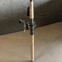 G-loomis pro blue fishing rod With Penn Level 9 Wind Reel