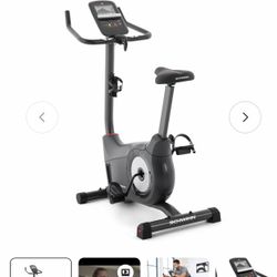 Schwinn 130 Upright Bike