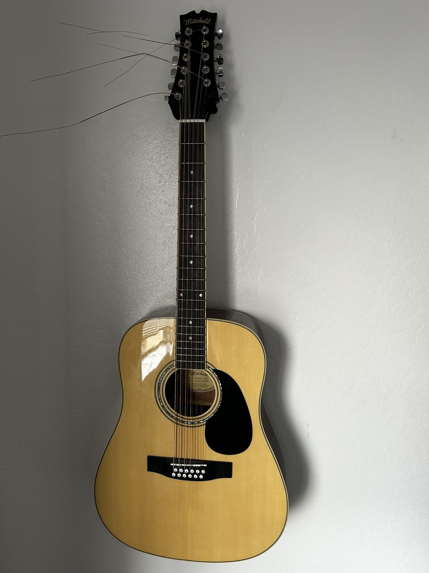 12 string guitar