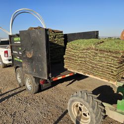 //Landscaping/irrigation/grass/cleanup//