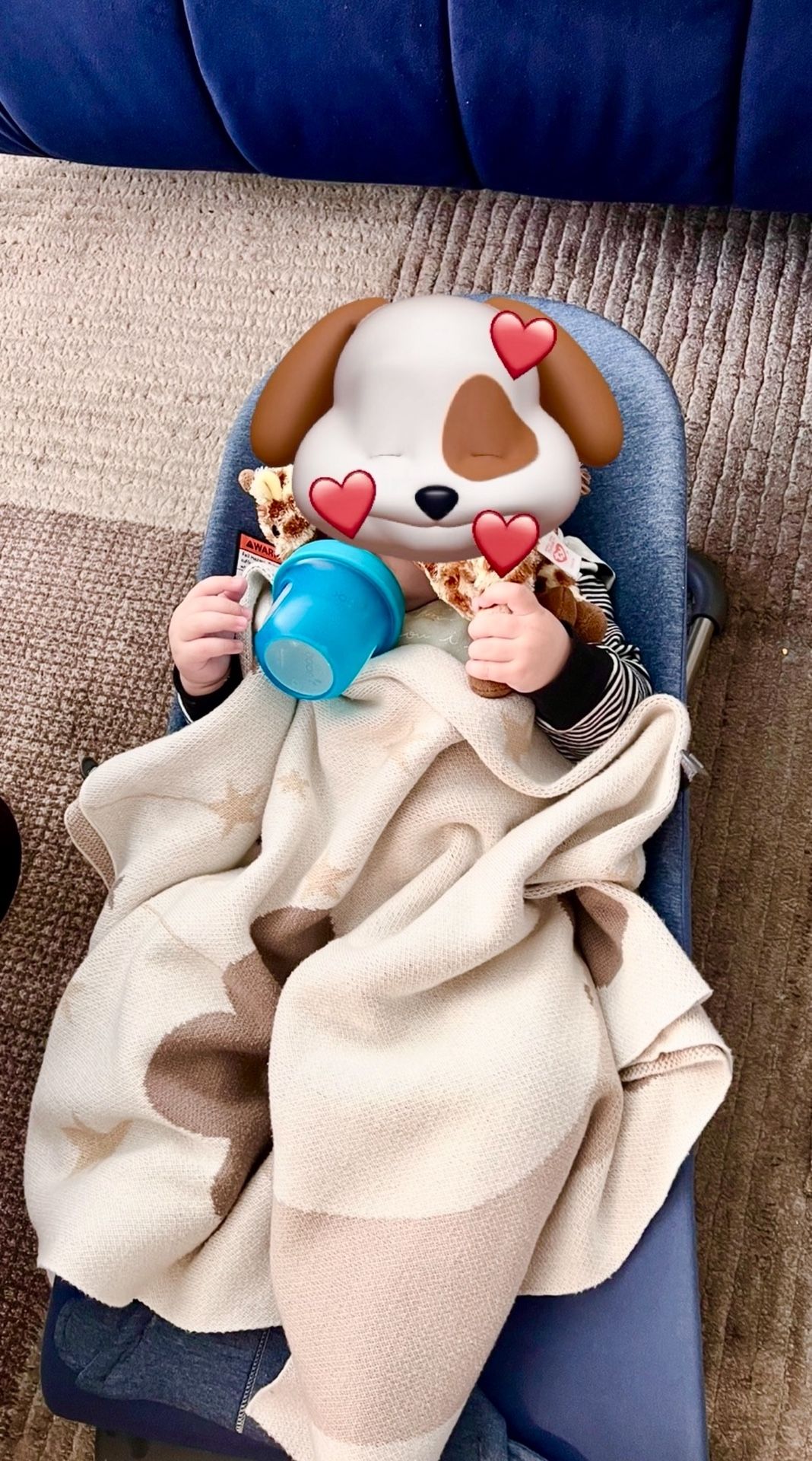 BABY BJORN baby Bouncer