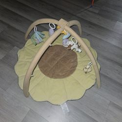 Baby Toys