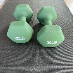 Two 20lb Weights