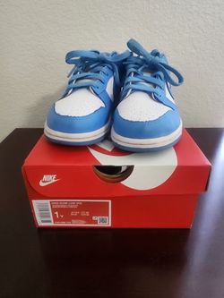 Nike Dunk Low 1y