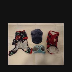 Puppy Winter Wear With Harness, Size XXS To XS