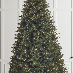 Fresh Christmas Trees Delivered!