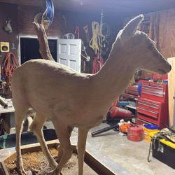 Deer Decor Mount 