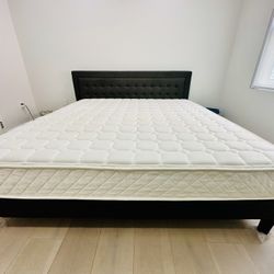 King Size Zinus Bed w/ Mattress – Great Condition – $200
