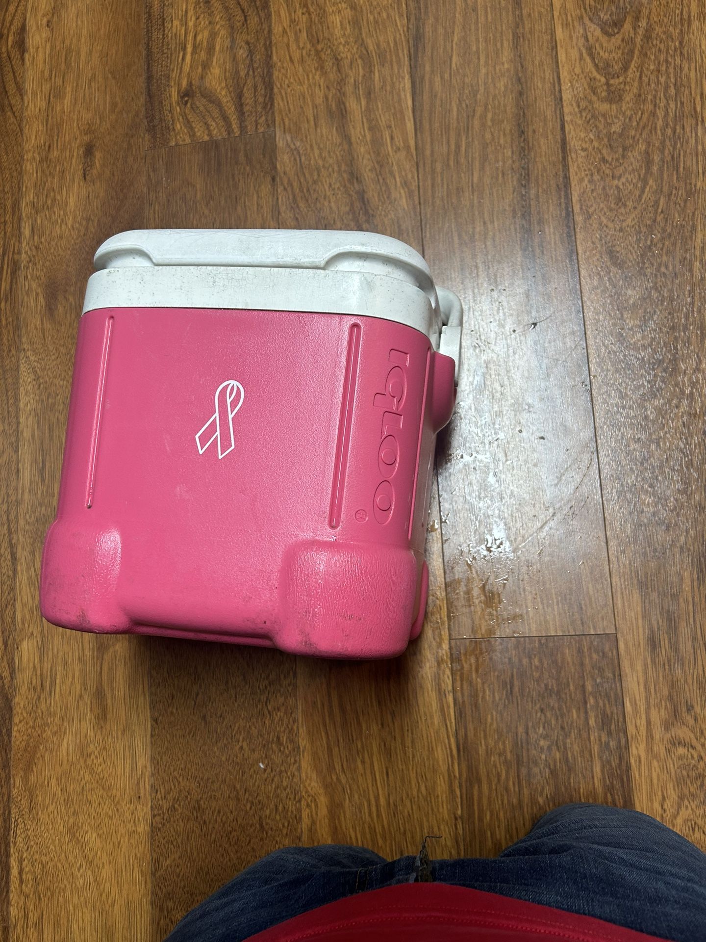 Pink Igloo Cooler. 