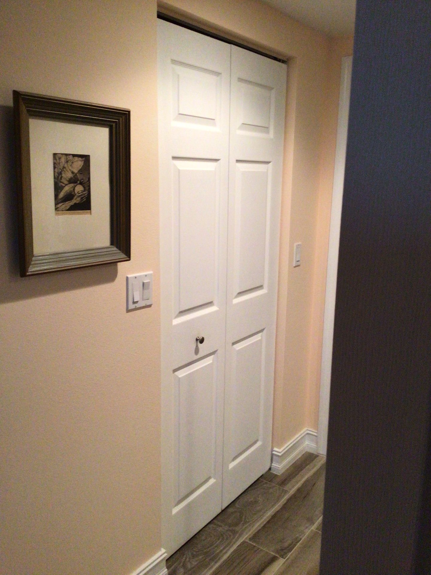 Bifold Doors