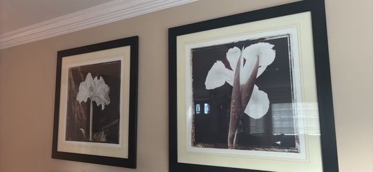 Home Goods Black and White Floral Art (2)