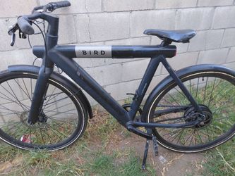 Bird  e bike 500w motor