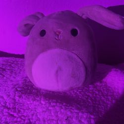 Squishmallow grey bunny