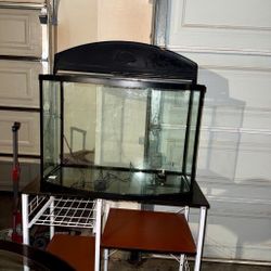 Fish Tank