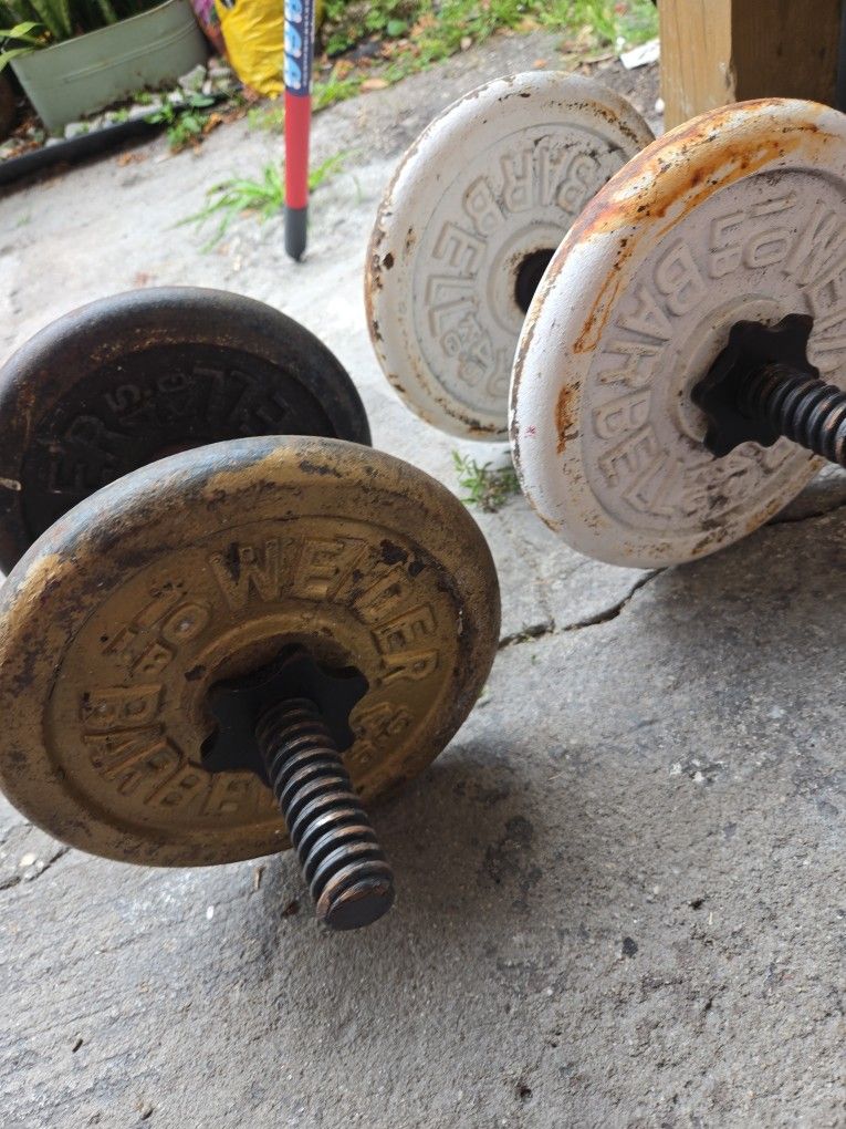 Weider    4x10 =40 Lb. Dumbbell 