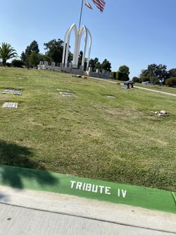 Cemetery plot for sale