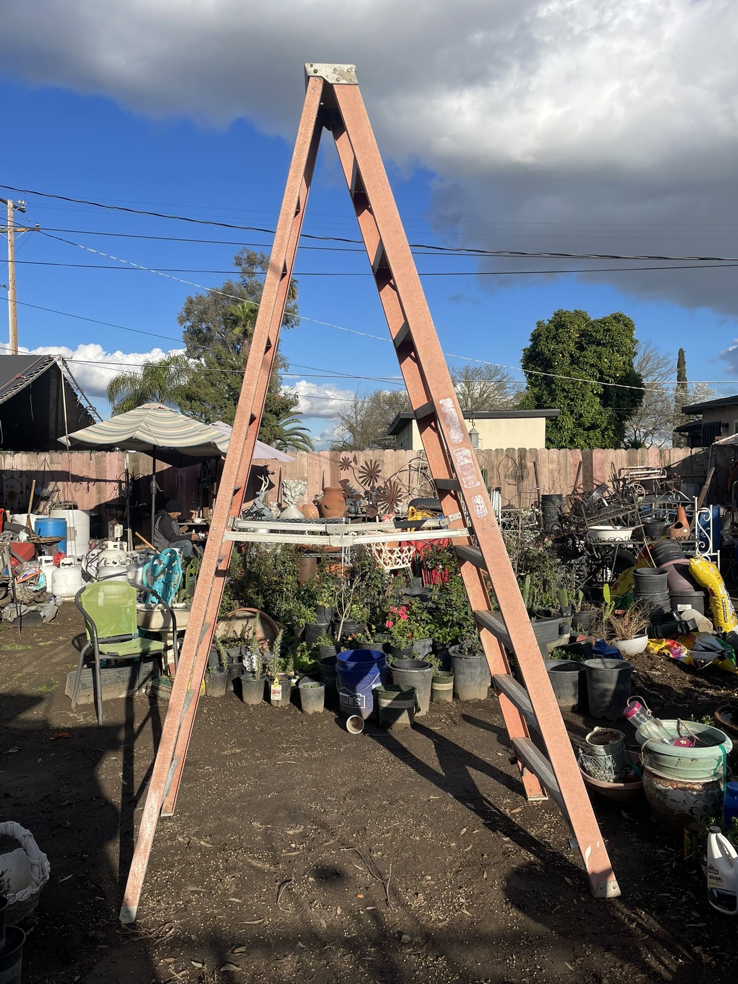 Werner 10 Ft Ladder