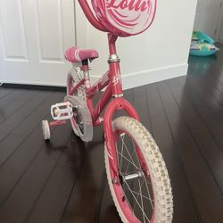 Kids Bicycle 